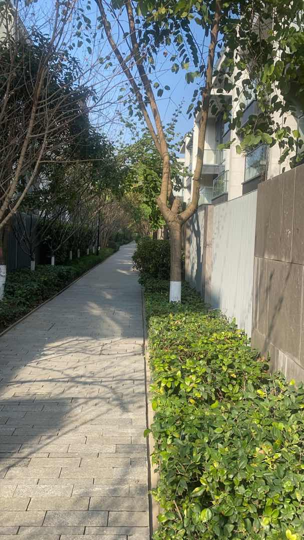 九洲云栖湖,九洲云栖湖别墅带花园14