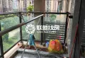 盛世悦城,4房无租过,近民族公园近广场8