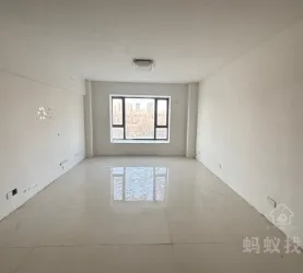 西峰区-岐黄大道-凯尔国际