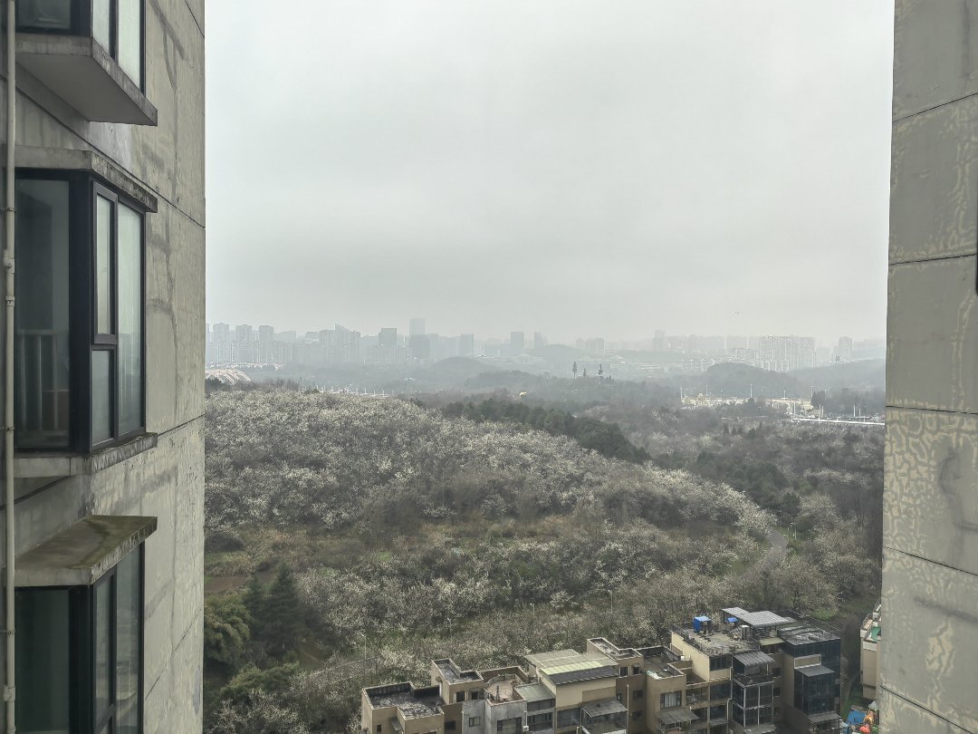 远大生态风景一期,年轻时尚,3室2厅2卫1阳台,观景房,落地大飘窗,采光视野很好7