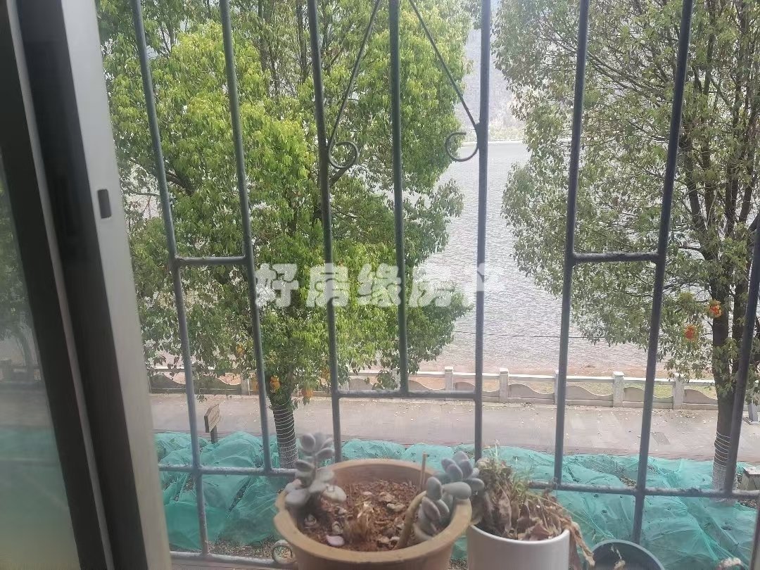 金湖西路教委宿舍,一线湖景房出售户型方正东西通透实用面积130㎡3