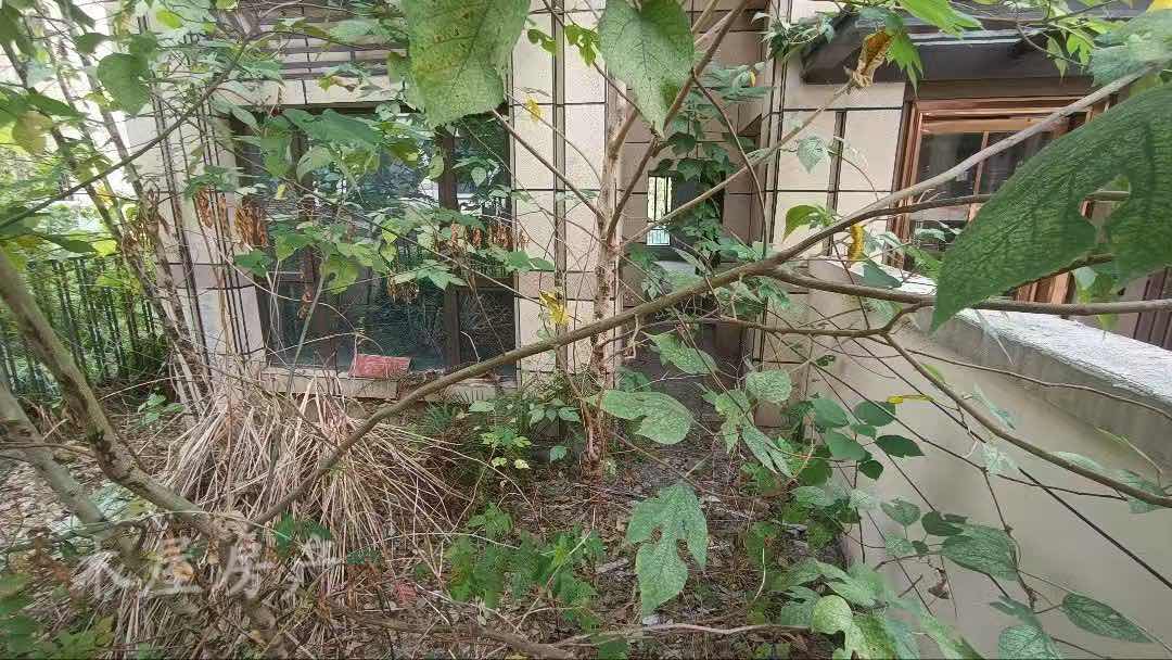 晶泽汐樾,周边配套设施齐全,性价比超高晶泽汐樾6