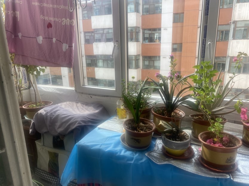 兴隆巷,城中区大兴街兴隆巷一室一厅一卫南北通透 户型方正分户采暖9