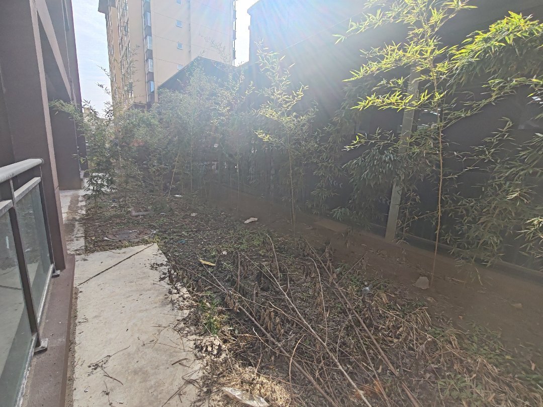 汉变新世界,汉变新世界毛坯南北高性价比,景观入户露台,阳光清风随时造访生活14