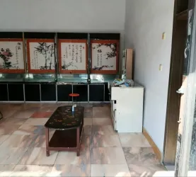 宁陵县-城中-宁陵建设路北王虎庄