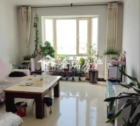 市辖区-城南-明珠花园