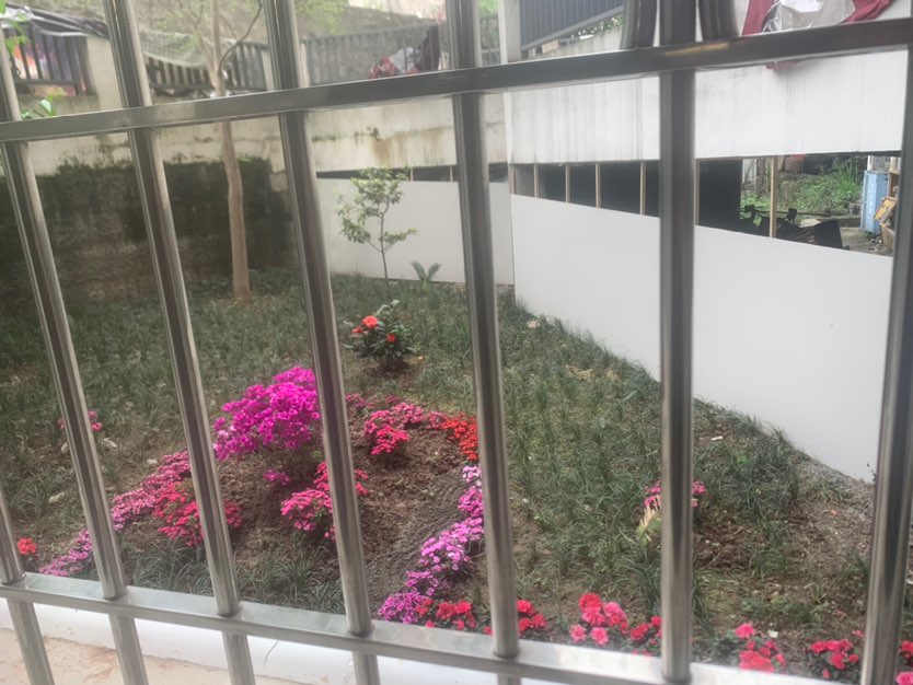 楠桂苑,南北通透,3室2厅2卫1阳台全南,户型非常棒,有户型为证13