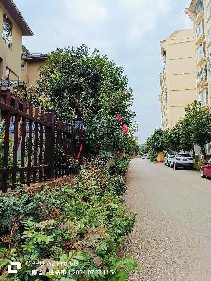 都市森邻,都市森邻 精装大三房,二楼满两年,南北通透无遮挡14