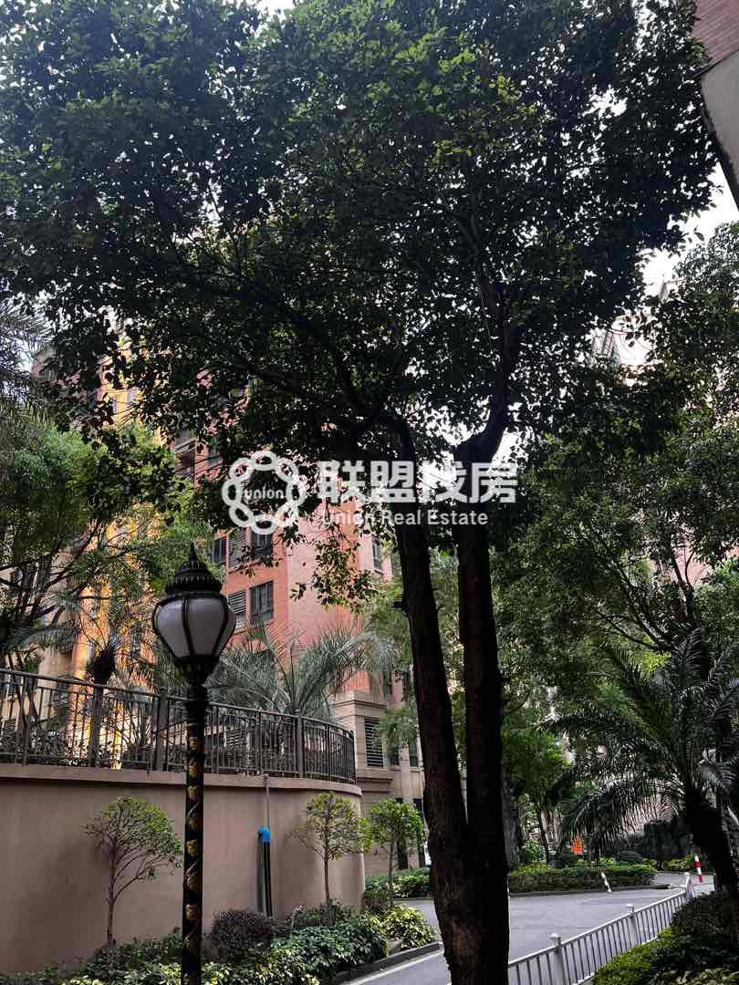 御林皇府,御林皇府精装朝南高性价比,景观入户小露台,阳光清风随时造访14