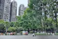 保利云山国际纯毛坯 随时看房 采光好 送地下室16
