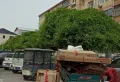 3室2厅1卫1阳台联通小区,家电齐全,拎包入住9