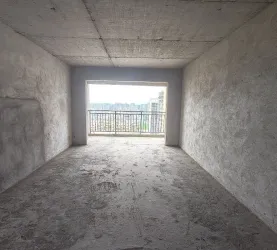 蒸湘区-华新开发区-金化中央珑庭
