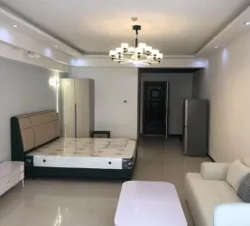 莲池区-东湖片区-未来石
