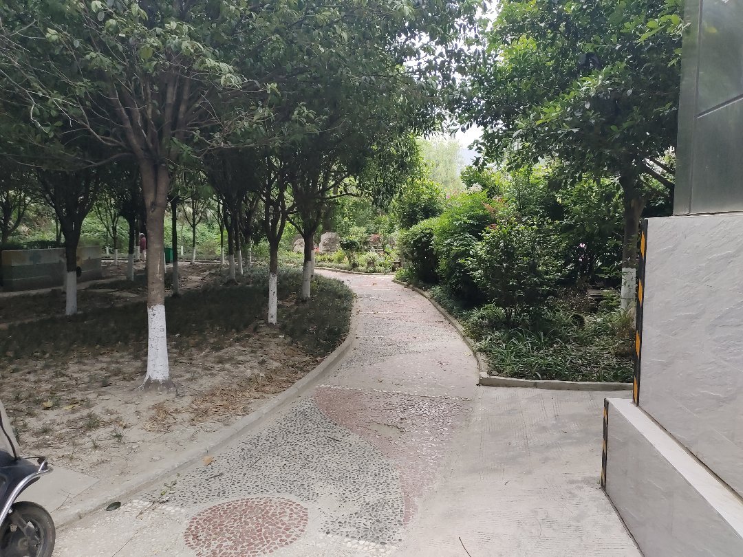星河湾星天园,星河湾,独立花园精装三房13
