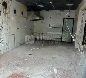 西湖区-桃源街道-新田绿洲