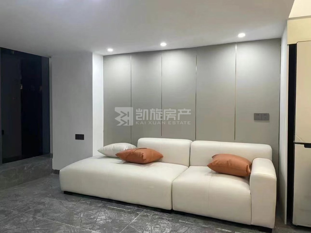 莱蒙国际都会,双地铁覆盖的熙梦城loft,商业地段无挡3