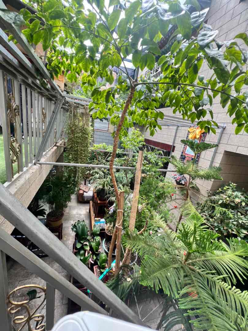 东嘎安居苑,东嘎安居苑5室240㎡ 带超大入户花园7