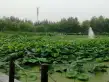 中交雅郡·城东春晓户型图