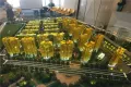 中建城户型图