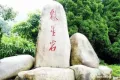 中骏雍璟府户型图