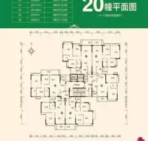 敏捷·东城水岸户型信息1