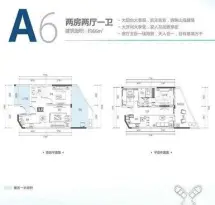 保利半岛1号户型信息4