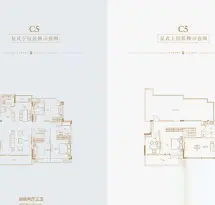 蓝光雍锦王府户型信息5