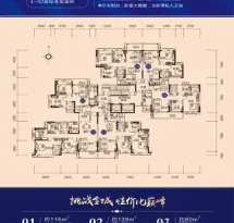 敏捷·东城水岸户型信息2