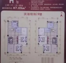 滨海明珠户型信息2