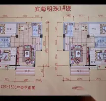 滨海明珠户型信息1
