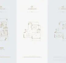 蓝光雍锦王府户型信息3