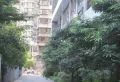 嘉尚国际公寓小区图片7