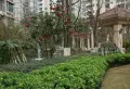 雅居乐国际花园小区图片6