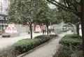 蓝光御江台小区图片20