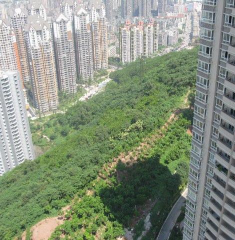 港城凤鸣香山小区图片