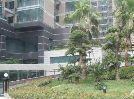 丽江新居-硚口区武胜路硚口武胜路崇仁路