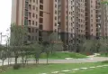 百灵景都小区图片11