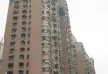 香港丽园小区图片2