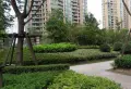 上海绿城小区图片34