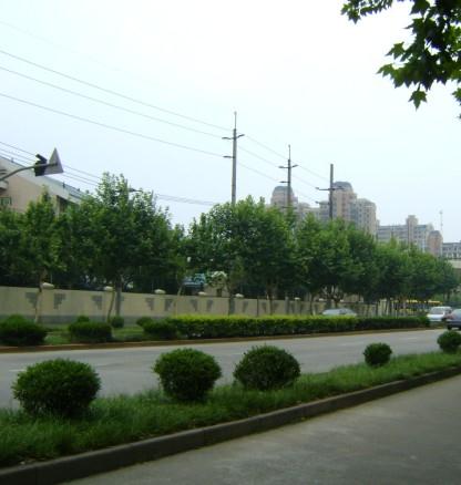 上海花园小区图片