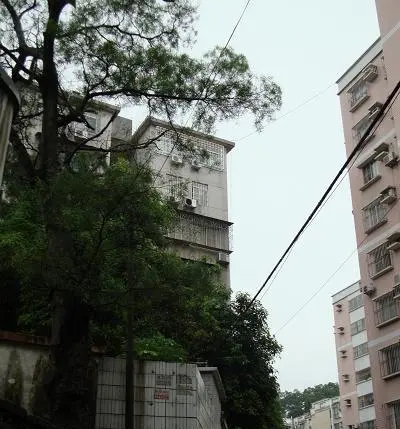 地震局宿舍-天河区五山天河区五山茶山路四十七中学旁