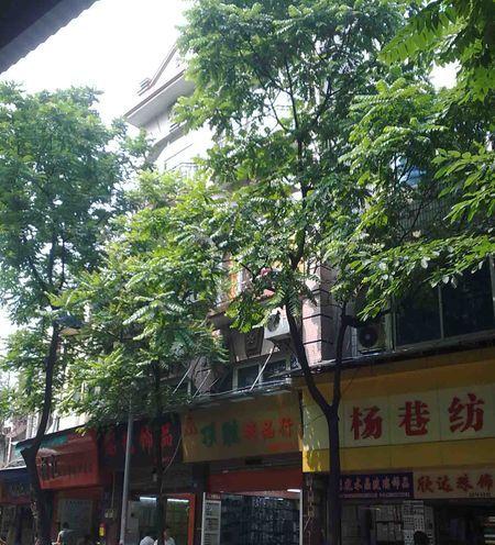 杨巷路小区小区图片