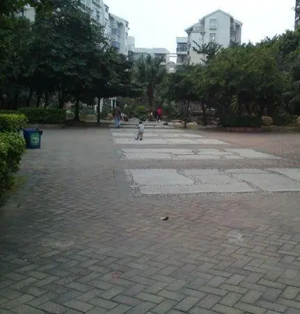 广州奥林匹克花园-番禺区洛溪如意路洛浦街