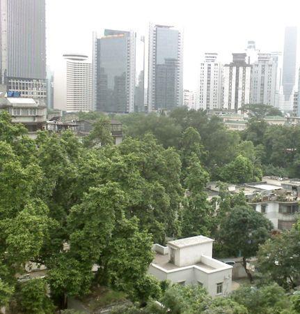 华侨新村和平路小区小区图片