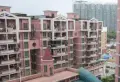 侨诚花园小区图片3