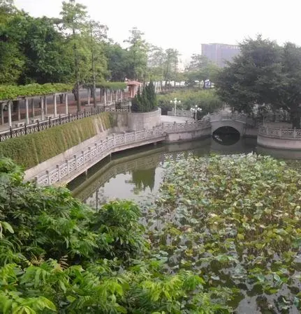 富豪山庄映荷居-番禺区金山谷市广路232号