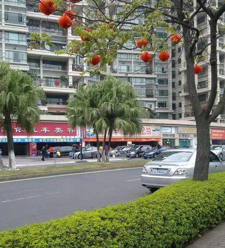 雍景豪园灏景台-荔湾区盐步盐步穗盐东路花地湾雍景豪园