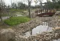 北干二苑小区图片2