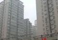 丽苑168小区图片2