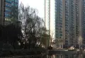 恒大城小区图片4